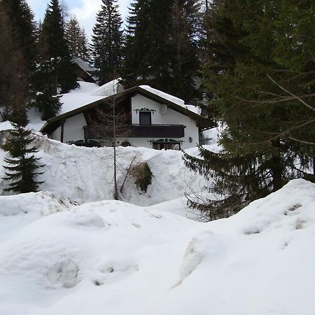 Вілла Chalet In Nassfeld Ski Area In Carinthia Зонненальпе-Насфельд Екстер'єр фото