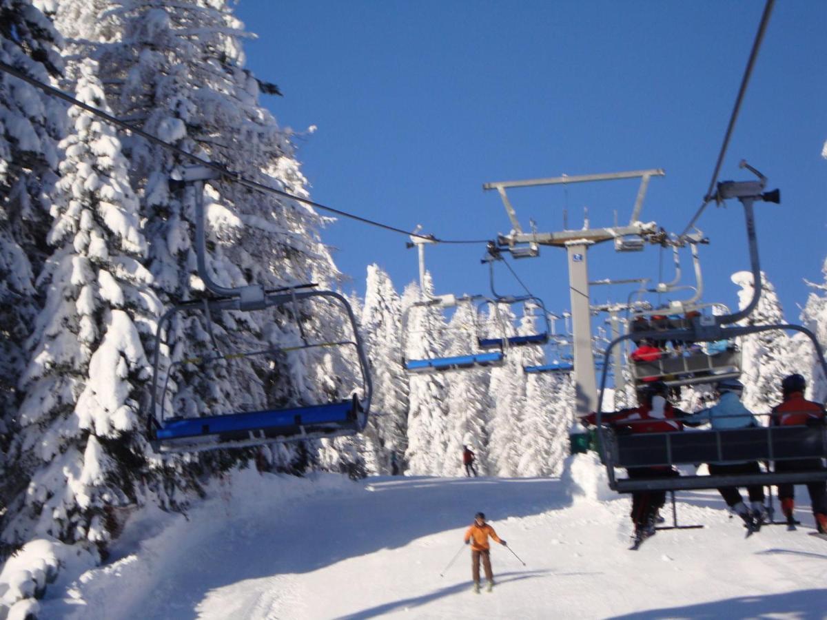 Вілла Chalet In Nassfeld Ski Area In Carinthia Зонненальпе-Насфельд Екстер'єр фото