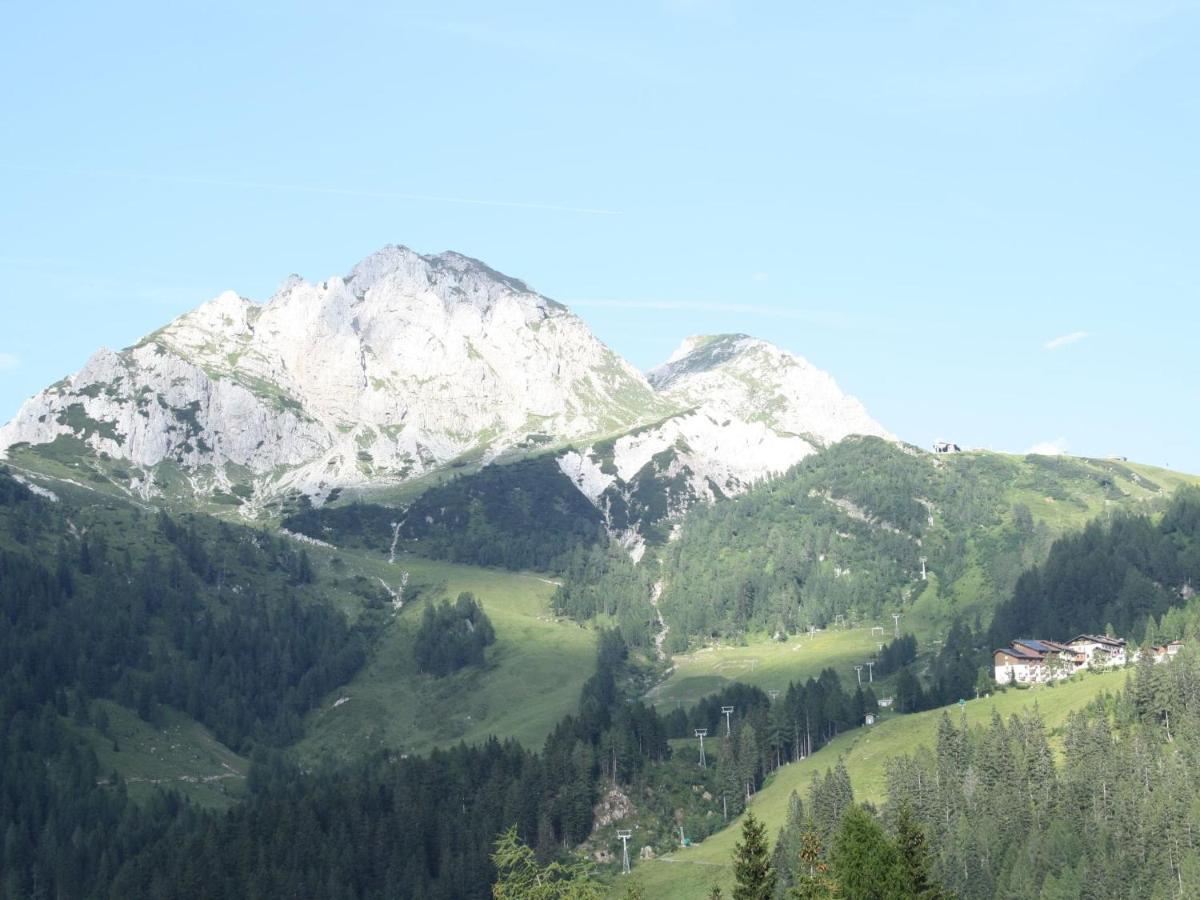 Вілла Chalet In Nassfeld Ski Area In Carinthia Зонненальпе-Насфельд Екстер'єр фото