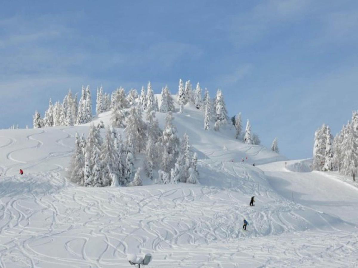 Вілла Chalet In Nassfeld Ski Area In Carinthia Зонненальпе-Насфельд Екстер'єр фото